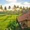 ubud accomodation