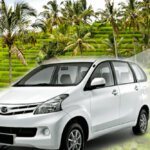 Private Bali Transport - Excellent Trip Experience