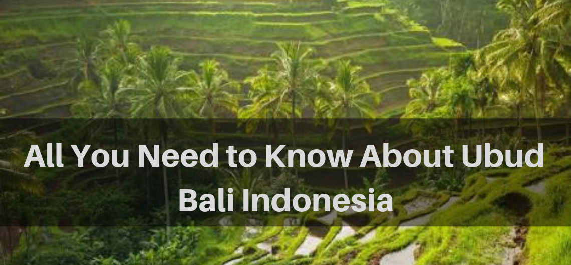 All You Need to Know About Ubud Bali Indonesia