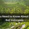 All You Need to Know About Ubud Bali Indonesia