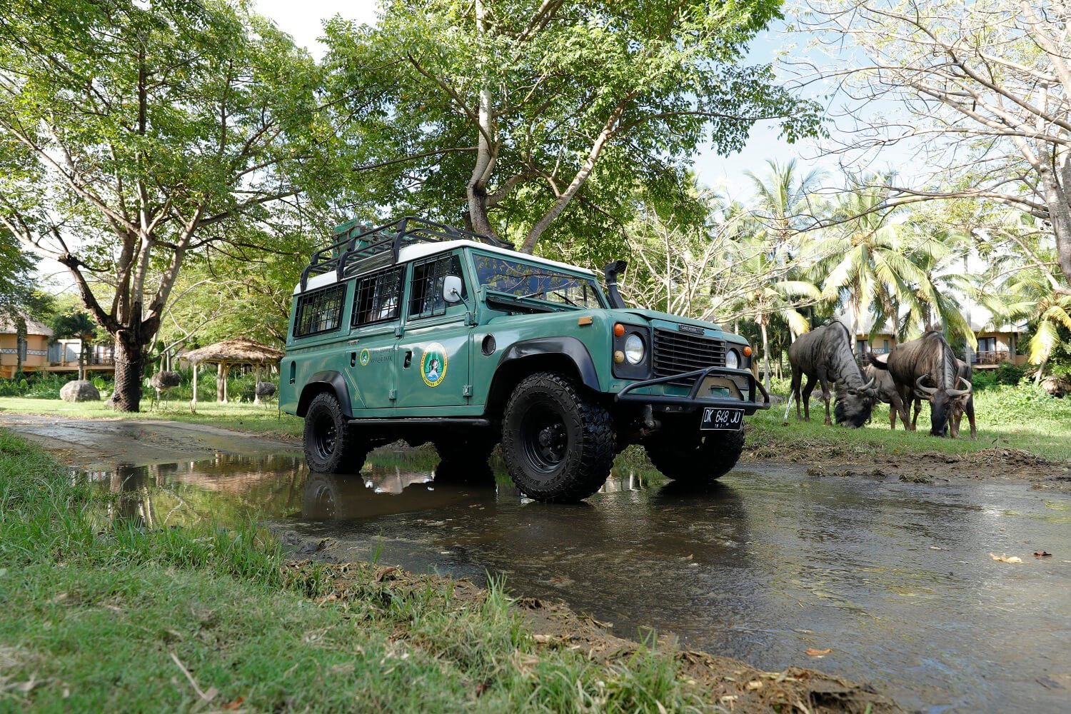 Leopard 4 x 4 Safari Package