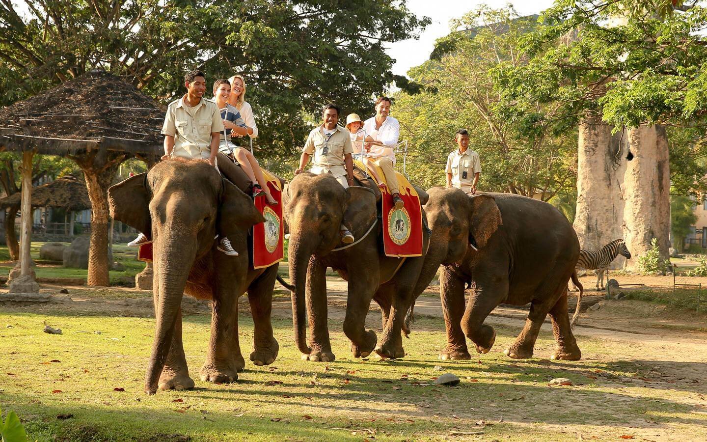 Elephant Back Safari