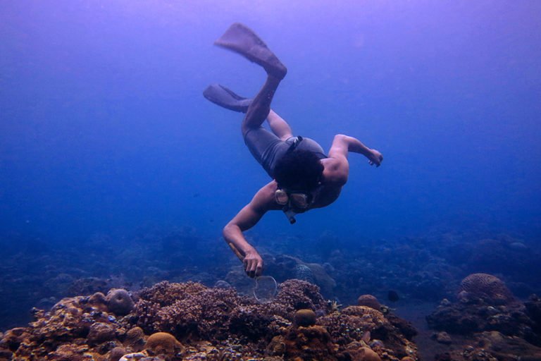 SNORKELING 