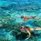snorkeling