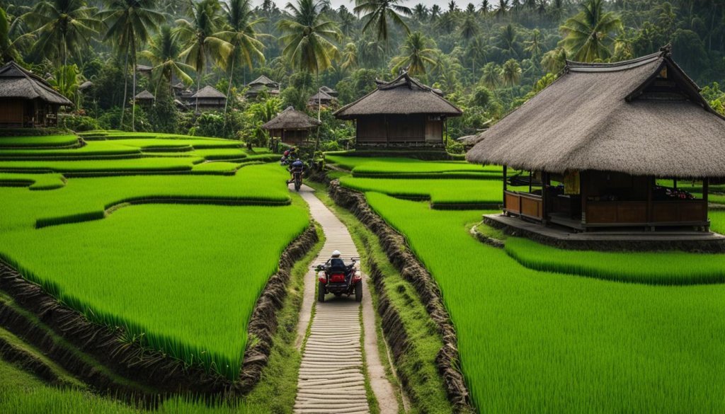 Bali rice terraces