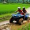 Ultimate ATV experiences in Ubud