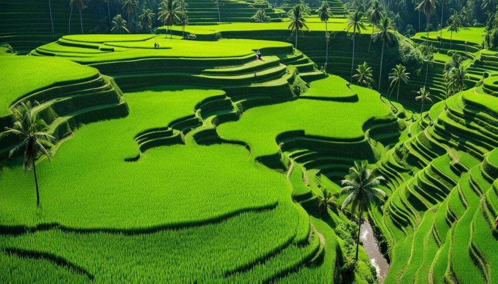 book ATV adventure in Ubud