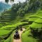 off-the-beaten-track atv adventures in ubud