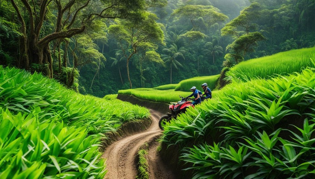 quad bike Bali Ubud