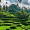 Ubud private tour guide